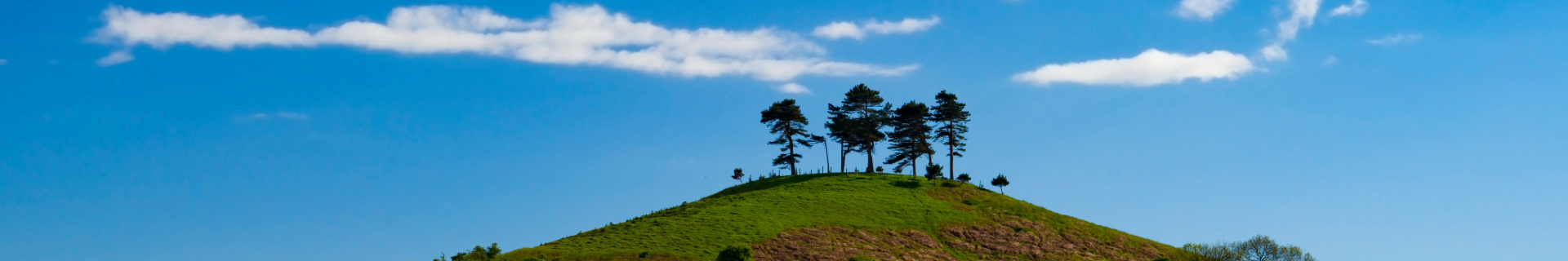 Banner image for West Dorset Conservatives