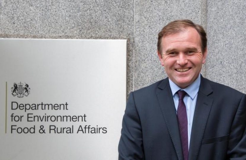 George Eustice MP